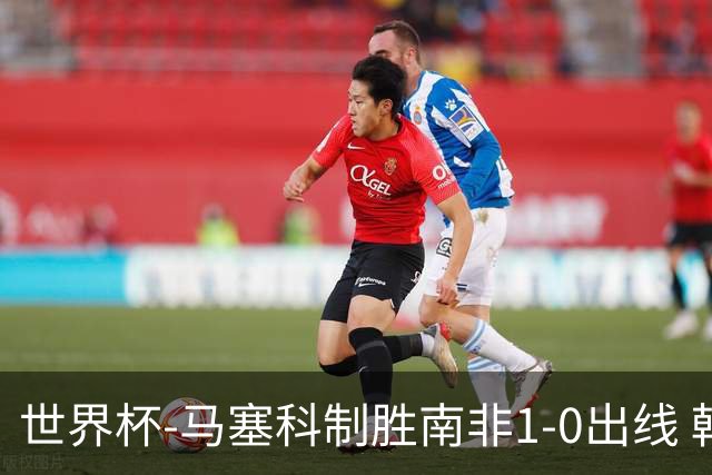 世界杯-马塞科制胜南非1-0出线 韩国积3分获小组第三待定